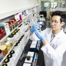 국제인삼시장 이미지