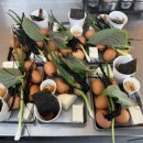 정해일식 이미지