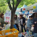 왕선초등학교 이미지