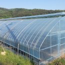 현대금속