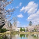 환상1리 이미지