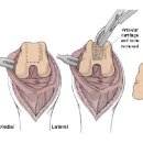쿨펫동물병원 킨텍스점 이미지