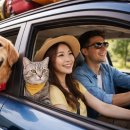 세인트존스 동물병원 | [반려동물과 장거리 여행]할때 주의점