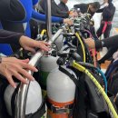 모토 PC존 | 【마흔일곱 47번째 여행 - 일본 시모다(Simoda; 下田市) &amp; 도쿄】 3탄 망치 상어를 볼 수 있을까? (Feat...