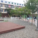 동산초등학교 | 청도반려문화학교 두번째 이야기 "반려동물과 친해지기:)"