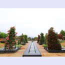 곡성-029 티스토리