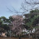 원광대체육관 앞 이미지