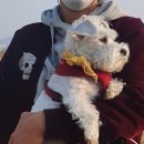 헤이맨헤어 이미지