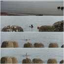 영포주유소