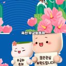 옥천면보건지소 | 해남 여행 가볼만한곳 옥천무궁화축제 무궁화명소 꽃구경 추천