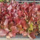 미래농약사 이미지