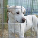 오류농장 이미지