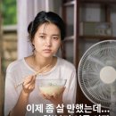 사노셀 애사비 구미 &amp; 콤부차 공구 5~8
