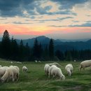 붉은돼지 이미지