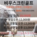 비우스크린골프