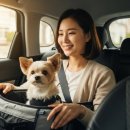 라온펫동물병원 | 뚜벅이 집사 필수! 펫택시 동물병원 이동 내돈내산 솔직 후기