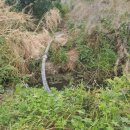 숨골농장 이미지