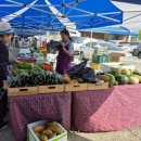 김윤태농장 이미지