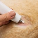 온동물병원 이미지