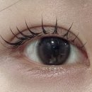 분당-127 | 분당 속눈썹 연장 추천 래쉬무아르 추천 및 후기