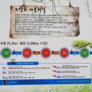 [10월 11일(일요일)]춘천 봄내길 5코스 소양호 나룻터길 트래킹 이미지