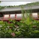 화순 경찰서 앞 이미지