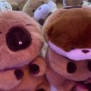 꿀통 미사점 이미지