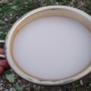 고운님 | [막걸리 이야기, 전북 익산] 고운님 생막걸리 (내돈내산)