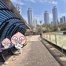 동탄센트럴파크 인라인스케이트장 이미지