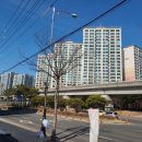 참솔공인중개사사무소 이미지