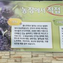 오색향