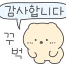 안고시 이미지