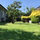 스테이 룰루랄라 이미지