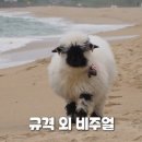 미현농장 네이버블로그