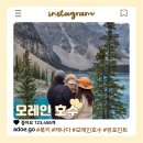 장태문캠핑카 앞 교통섬 | 강아지와 함께한 모레인호수 여행! 가는법, 카누, 뷰포인트 총정리