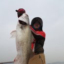 제주베이스캠프 이미지