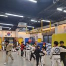 용인대 역동 태권도장 | 강원 홍천의 태권도 명소, 용인대블랙벨트태권도장! 🥋✨