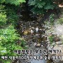301 | 여름엔 무조건 여기! 숲속 계곡 캠핑장 제천 덕동리301 후기