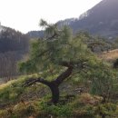 구암동387 이미지