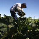 이주농장 이미지