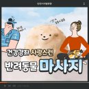 한국평생교육문화원 이미지