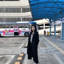 조치원공영버스터미널 | 세종시 조치원 공영 버스터미널 시간표 서울행 고속버스 시외버스 시내버스 운행 노선도 두루타
