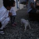 씨에스타쑤에노 이미지