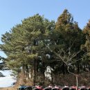 남원읍-117 이미지