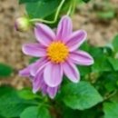 유나책방 이미지