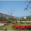 한림초등학교 이미지