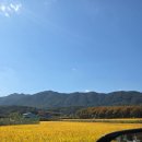 김해지혜의바다 | 김해지혜의바다 도서관 주말 이용후기