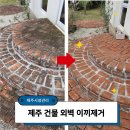 조성부 | 제주 건물 주택 외벽청소 업체, 벽돌 이끼제거 새것처럼 해드린 후기