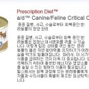 25시종합동물병원 이미지
