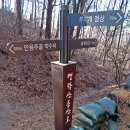 안용주골 이미지